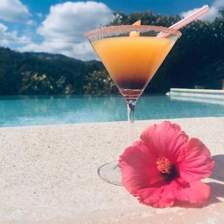 Villa Santa Rita Auribeau-sur-Siagne Dış mekan fotoğraf