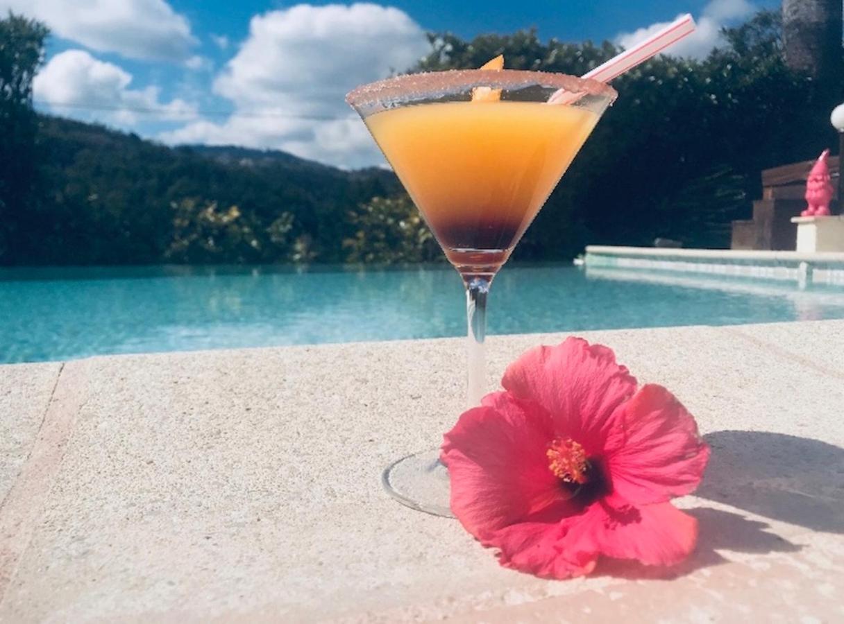 Villa Santa Rita Auribeau-sur-Siagne Dış mekan fotoğraf